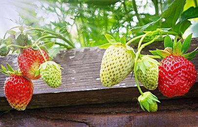 解谜和探索游戏《The Trials 2》Steam页面上线 不支持中文